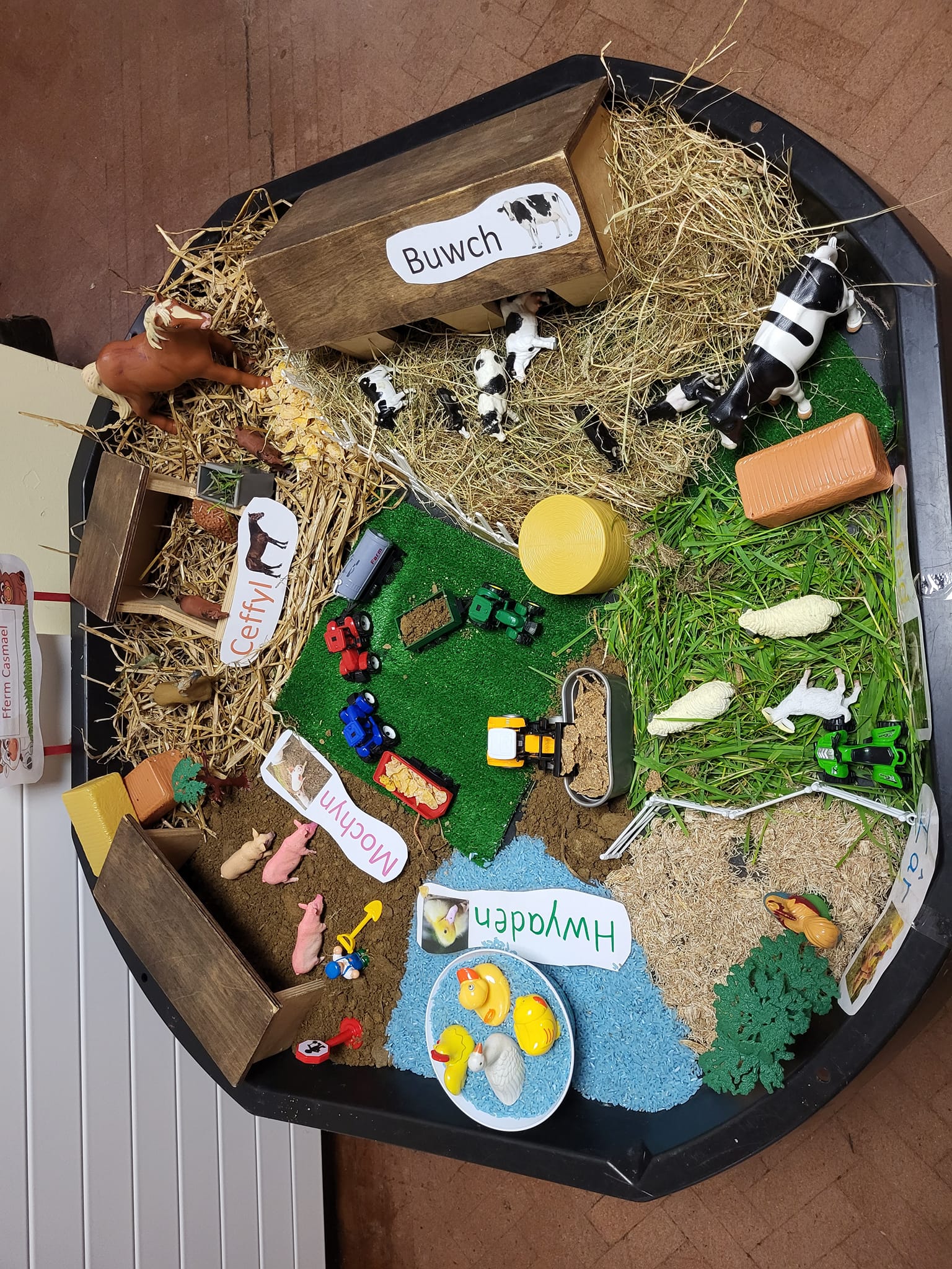 Learning through play